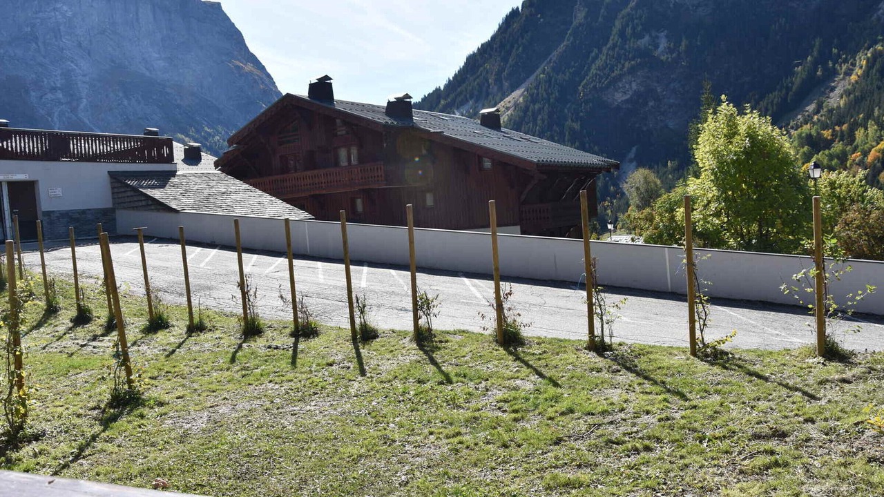 Photo of Outdoor in Pralognan-la-Vanoise