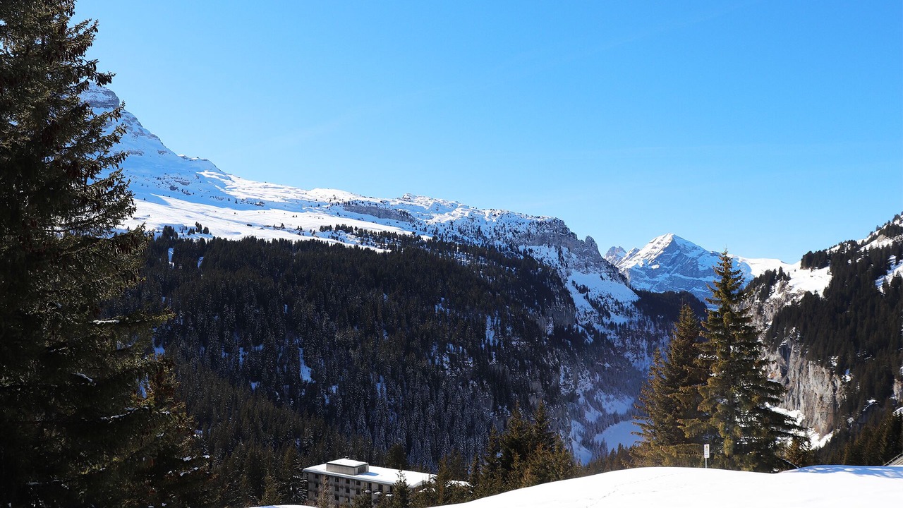 Photo of Others in Flaine
