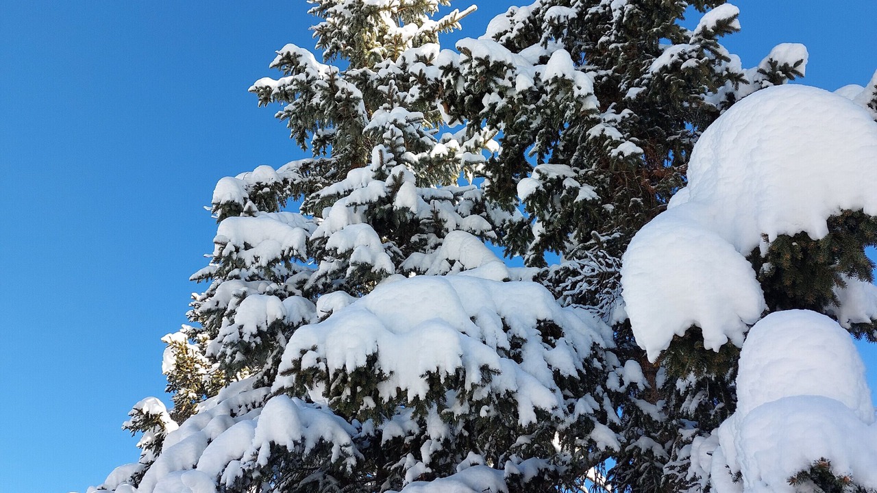 Photo of Outdoor in Courchevel