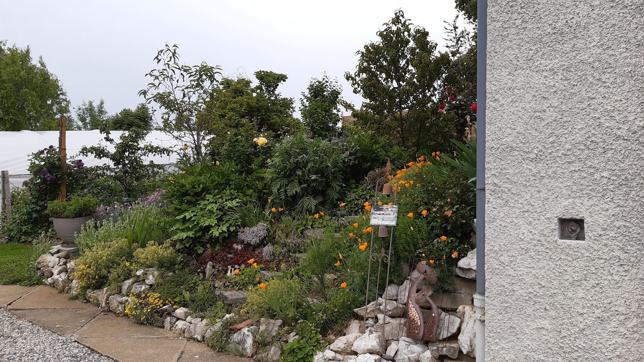 Photo of Outdoor in Sonnaz