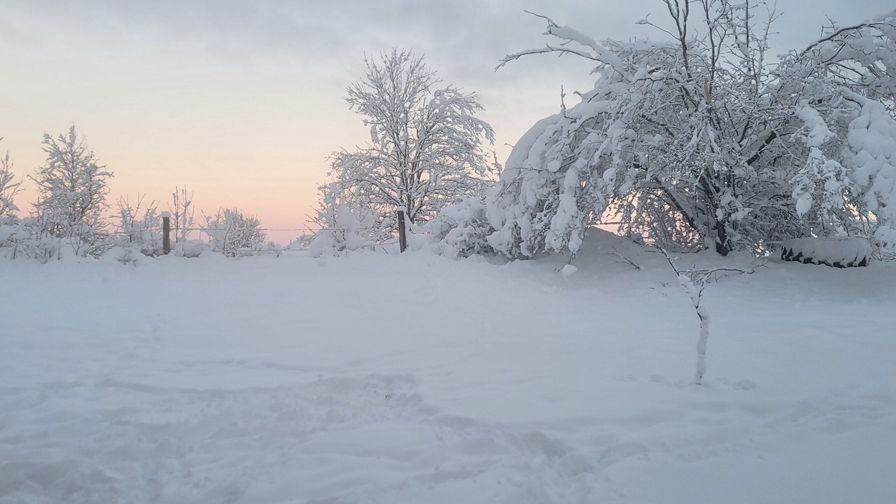 Photo of Outdoor in Paroisse des Monts de Bienne