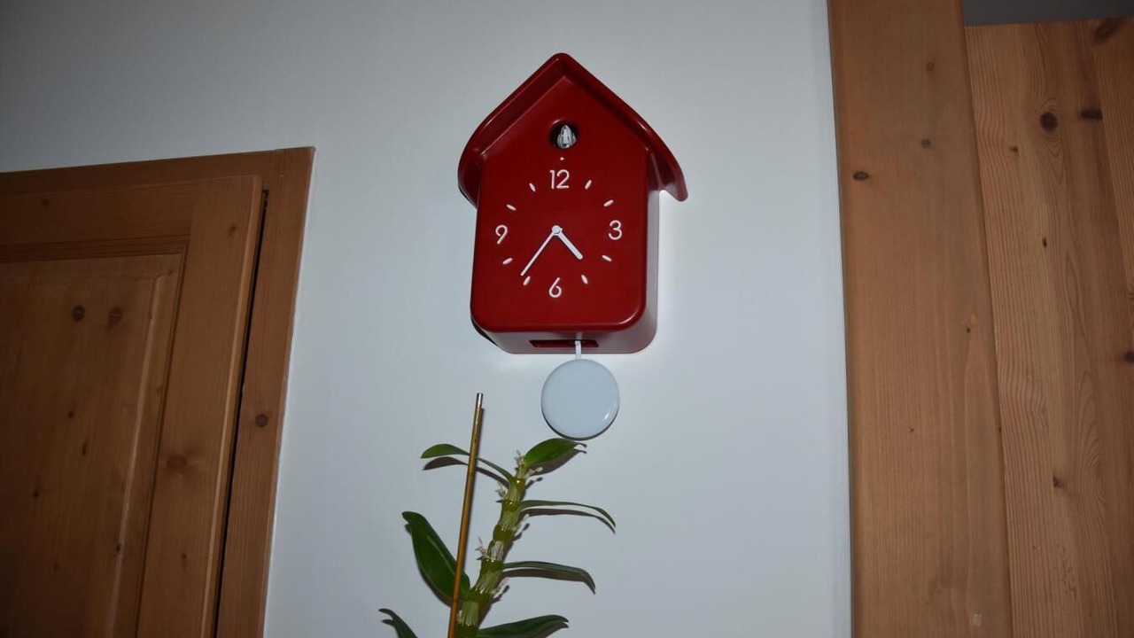 Photo of Others in Pralognan-la-Vanoise