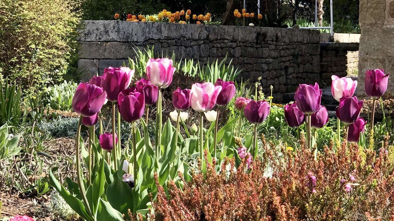 Photo of Outdoor in Mondalazac