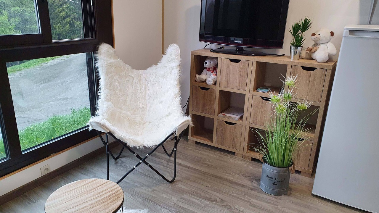 Photo of Livingroom in Le Corbier