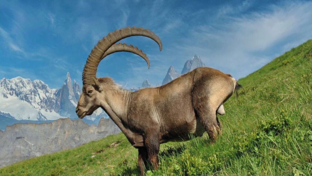 Photo of Outdoor in Champagny-en-Vanoise