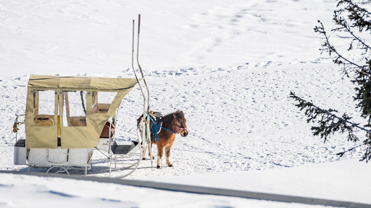 Photo of Others in Tignes le Lac