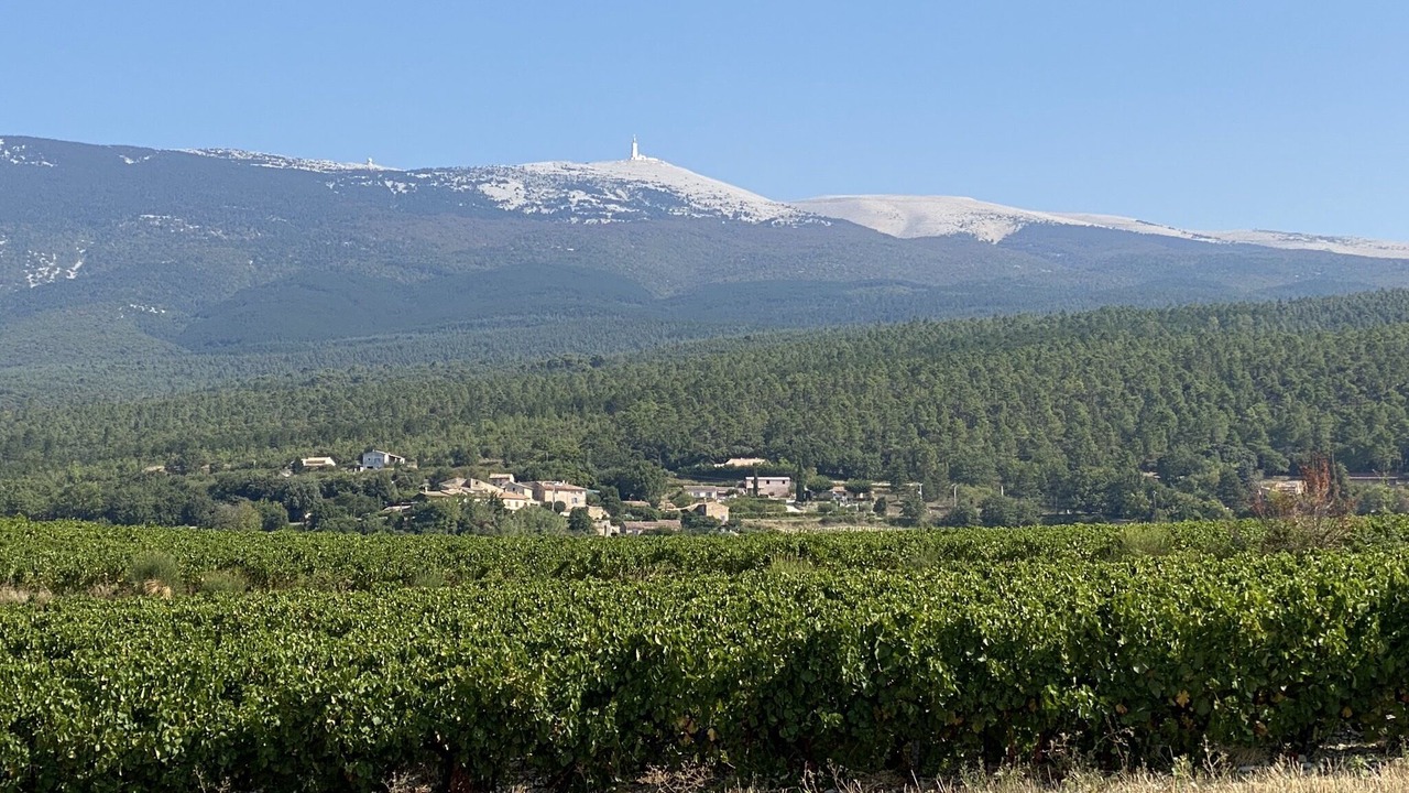 Photo of Outdoor in Bedoin