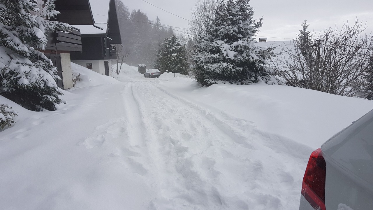 Photo of Outdoor in Thollon-les-Memises