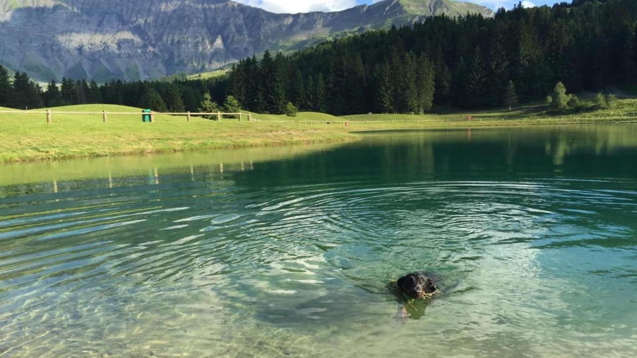 Photo of Others in Praz-sur-Arly