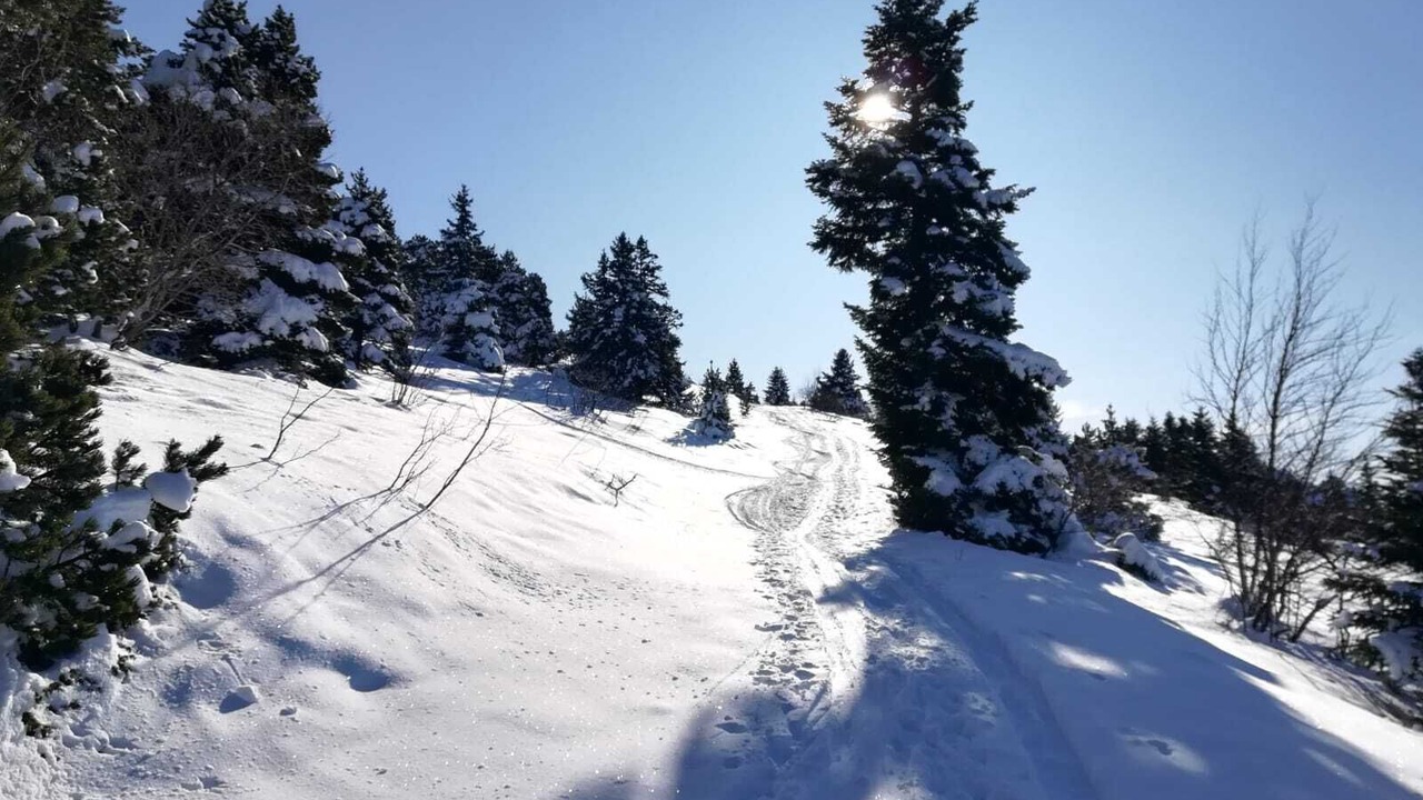Photo of Others in Lans-en-Vercors