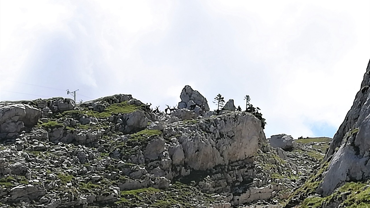 Photo of Outdoor in Lans-en-Vercors