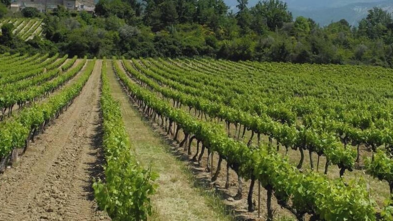 Photo of Outdoor in Mollans-sur-Ouveze