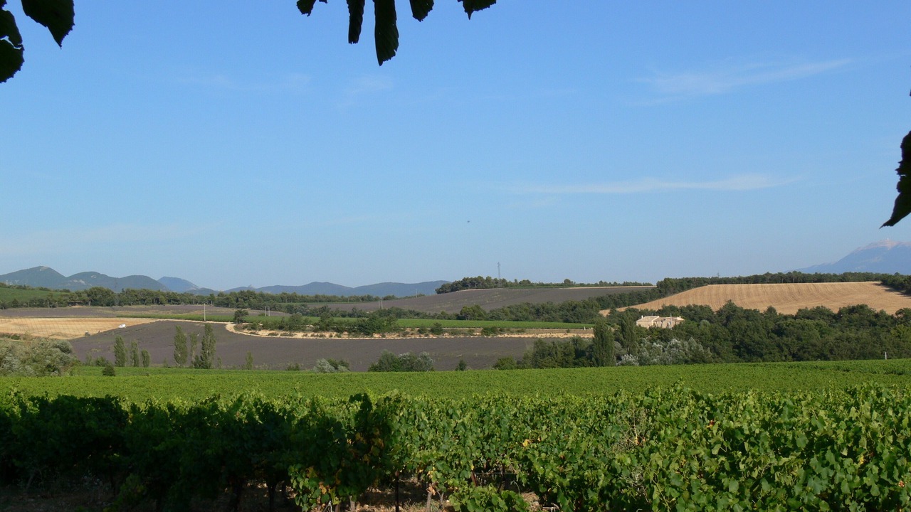 Photo of Outdoor in Vinsobres
