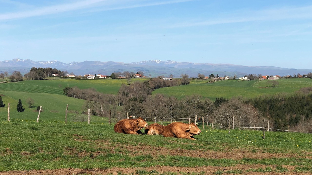 Photo of Others in Saint-Mamet-la-Salvetat