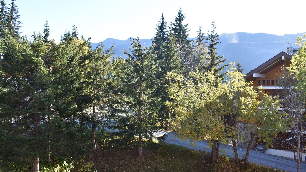 Photo of Outdoor in Meribel