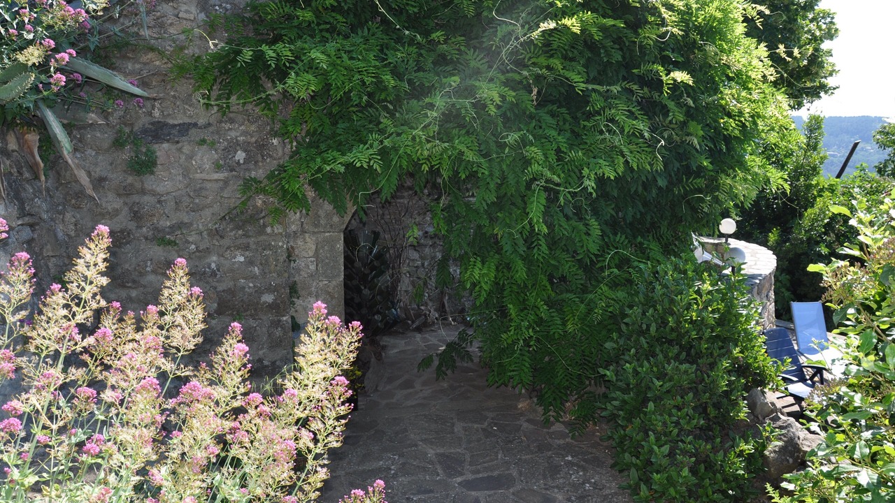 Photo of Outdoor in Chassiers