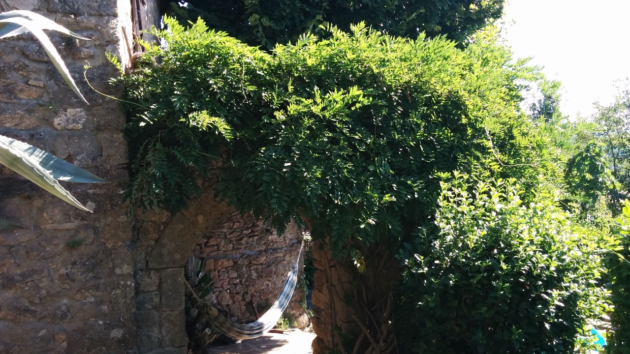 Photo of Outdoor in Chassiers