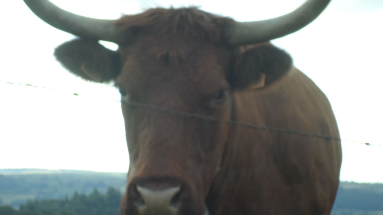 Photo of Others in Teissieres-les-Boulies