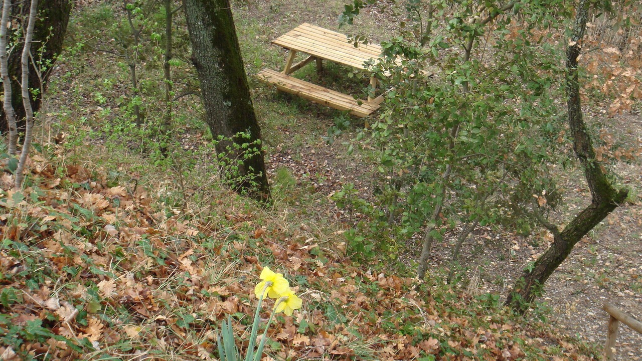 Photo of Outdoor in Mormoiron