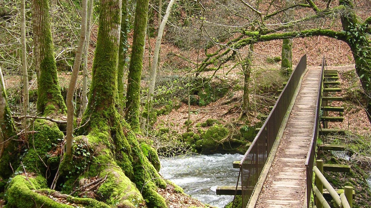 Photo of Outdoor in Vic-sur-Cere