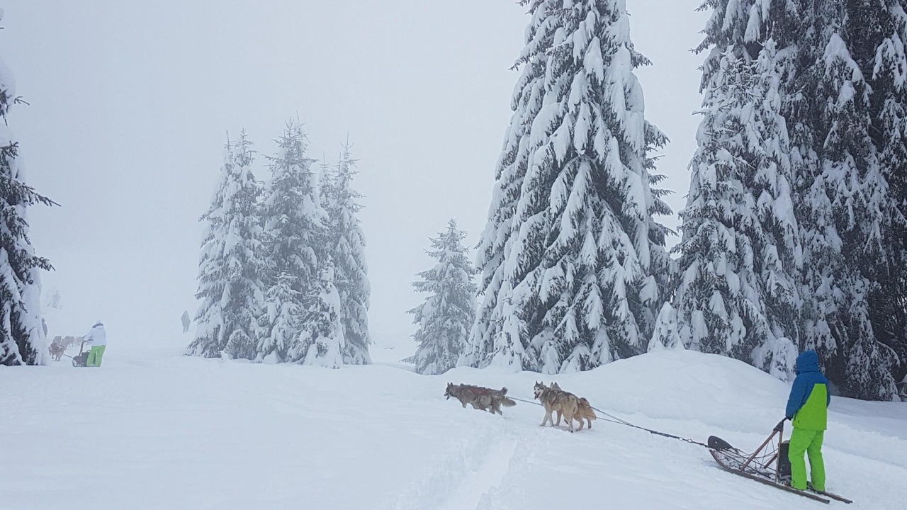 Photo of Others in Flaine