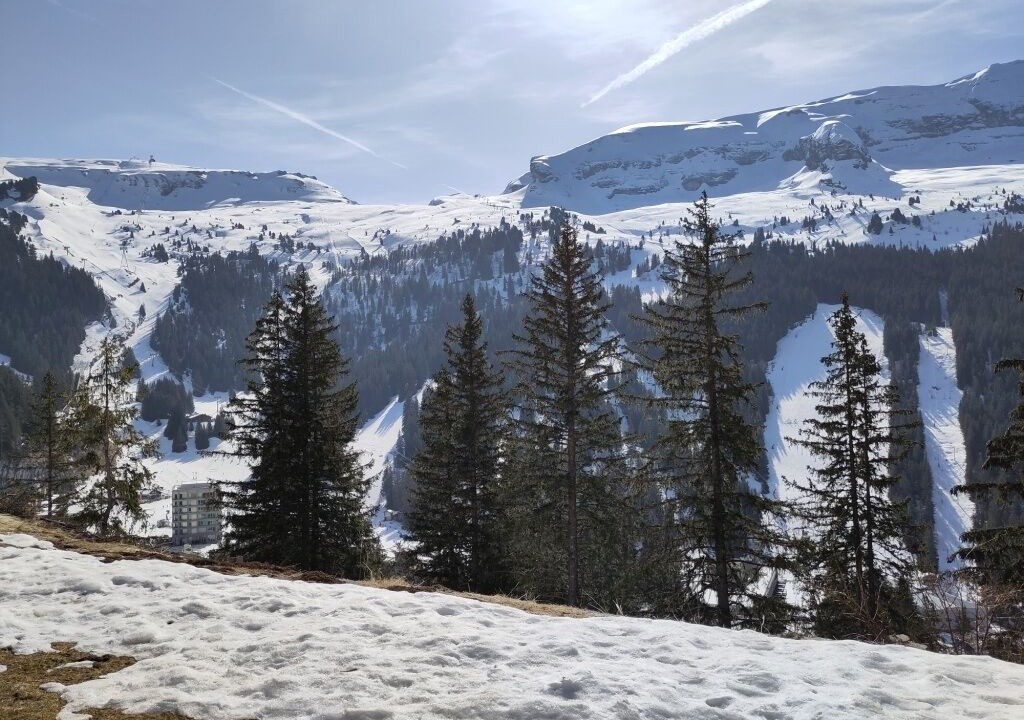 Photo of Others in Flaine