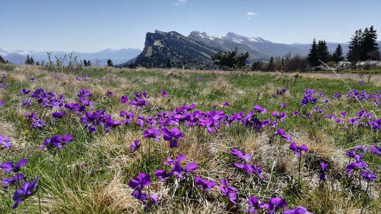 Photo of Outdoor in Lans-en-Vercors