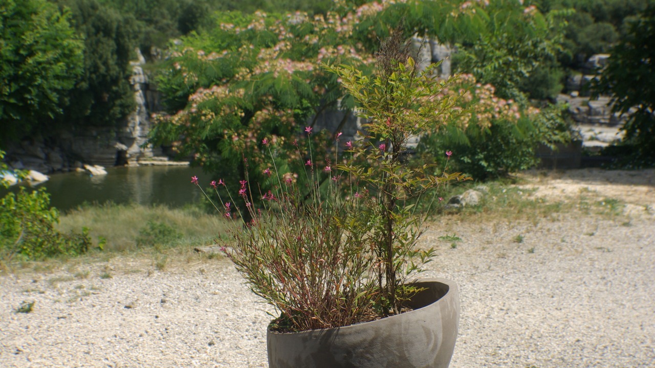 Photo of Outdoor in Balazuc