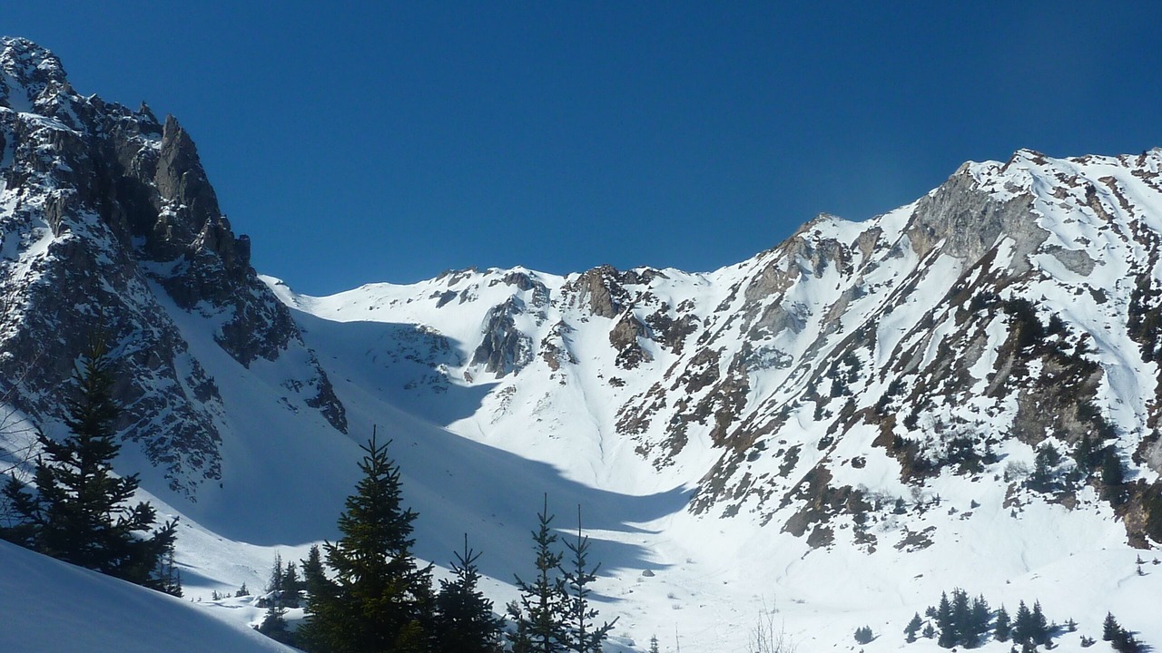 Photo of Others in Pralognan-la-Vanoise