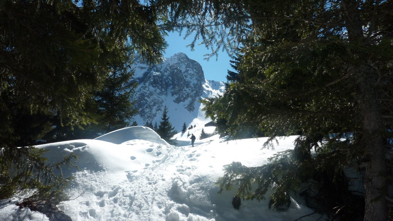 Photo of Others in Pralognan-la-Vanoise