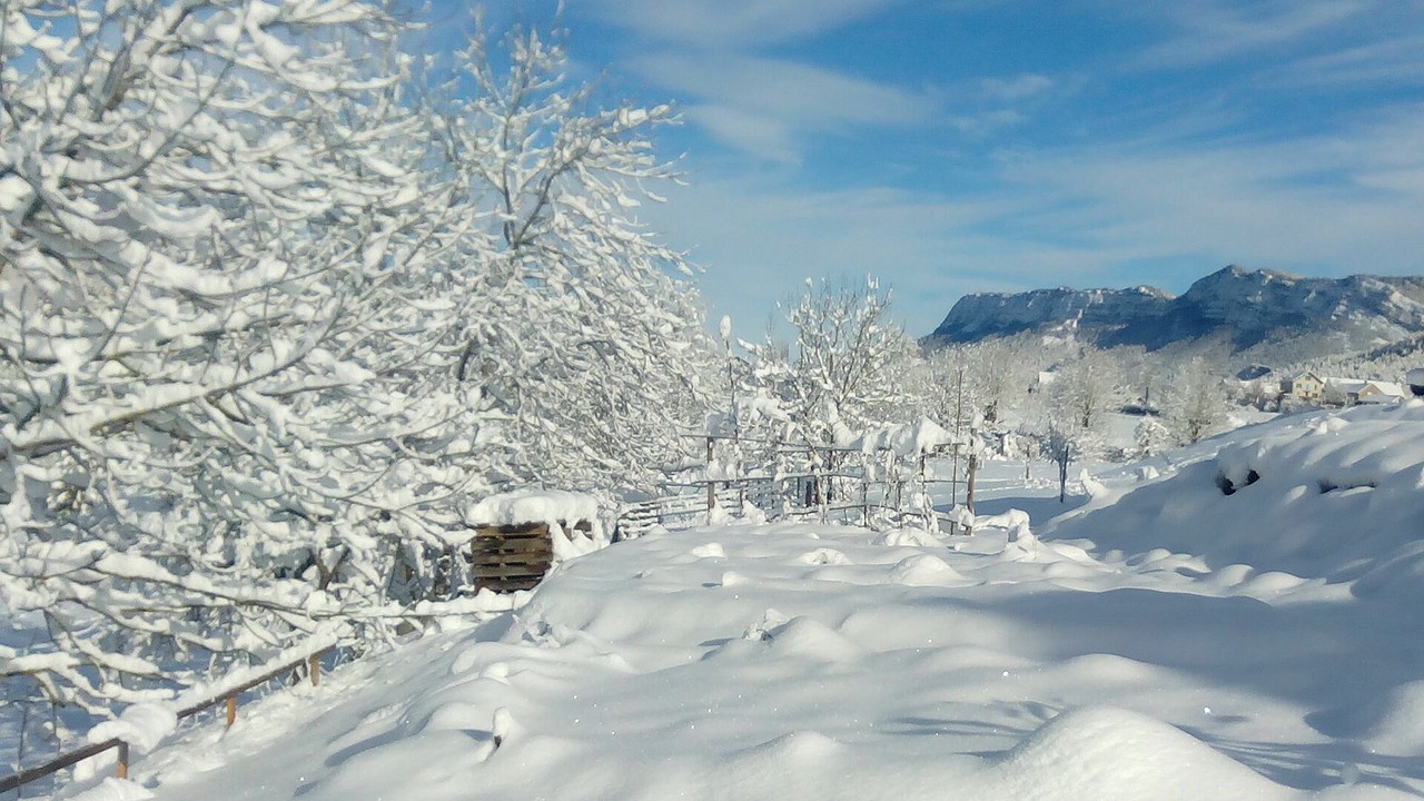 Photo of Others in Saint-Julien-en-Vercors