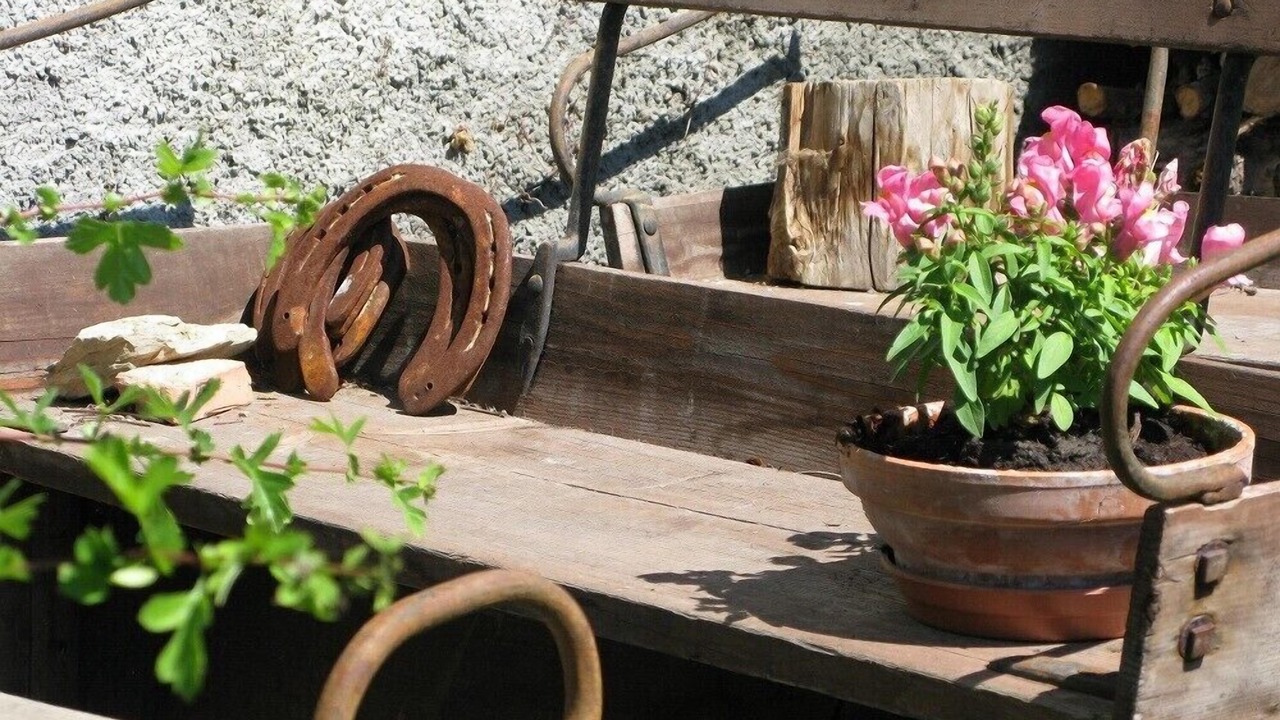 Photo of Outdoor in Samoens