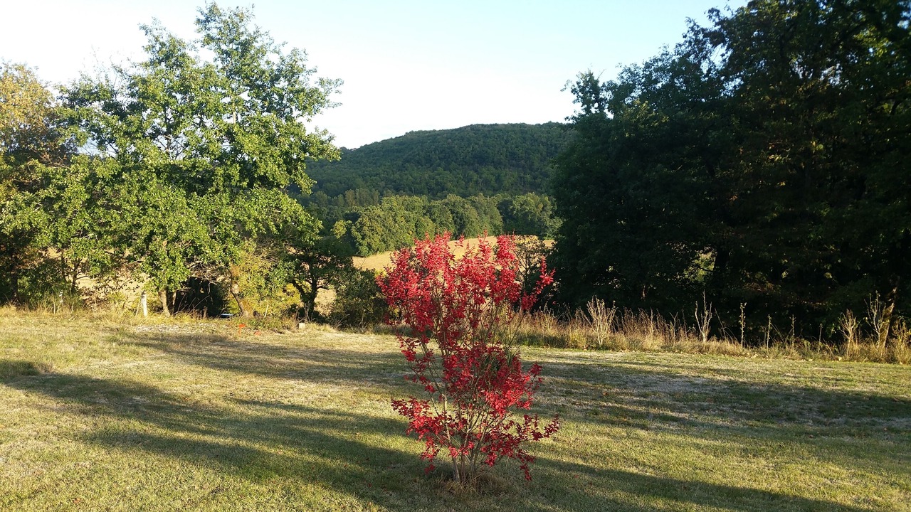 Photo of Outdoor in Capdenac
