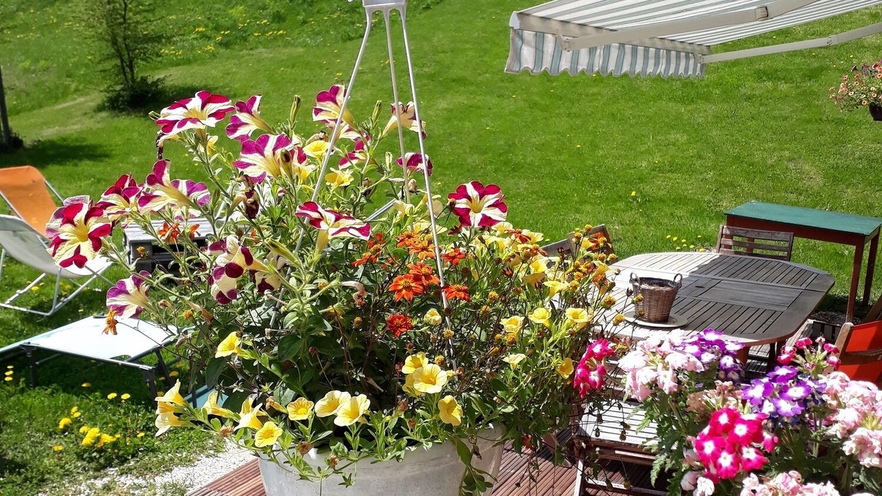 Photo of Outdoor in Meaudre