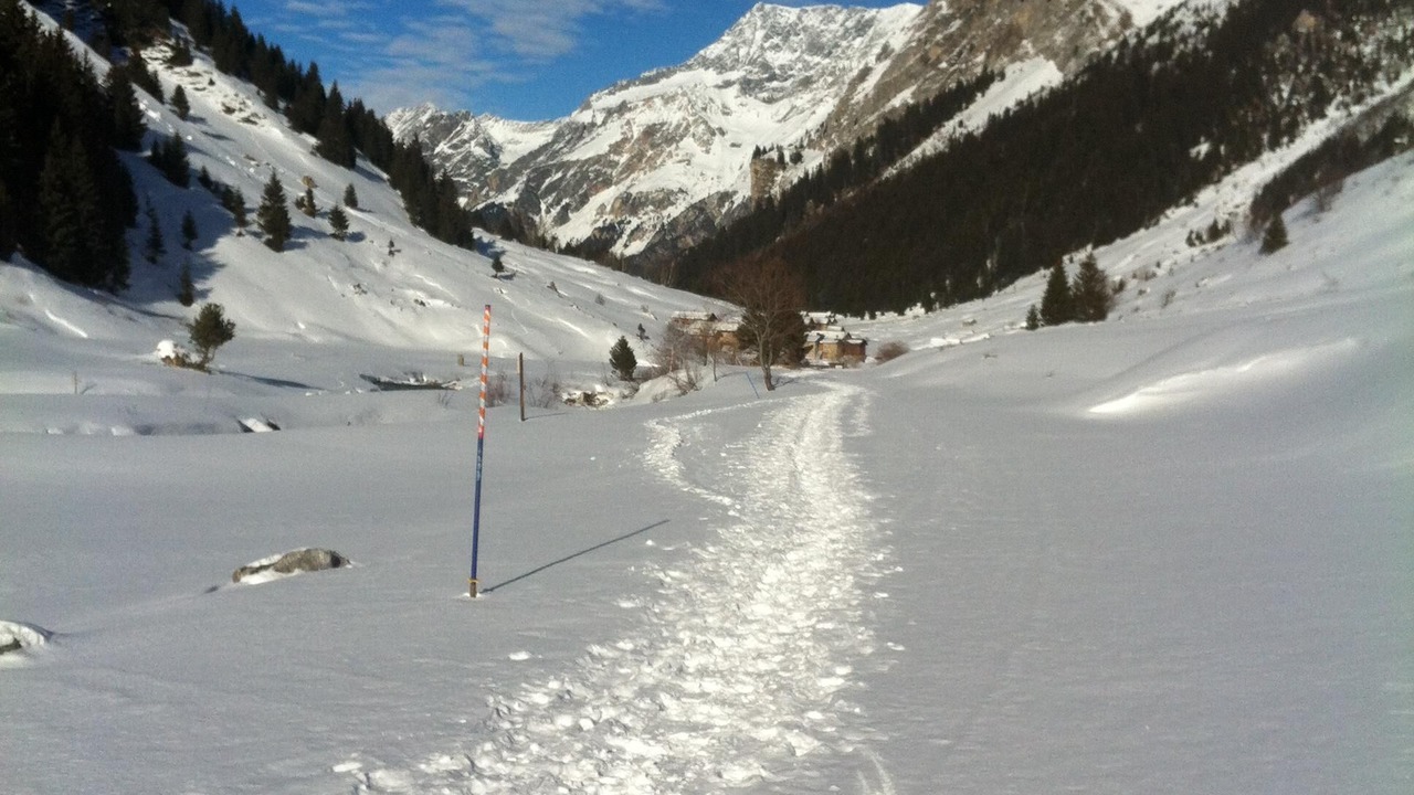 Photo of Others in Pralognan-la-Vanoise