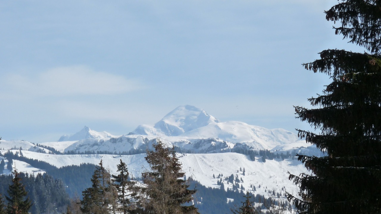 Photo of Others in Samoens