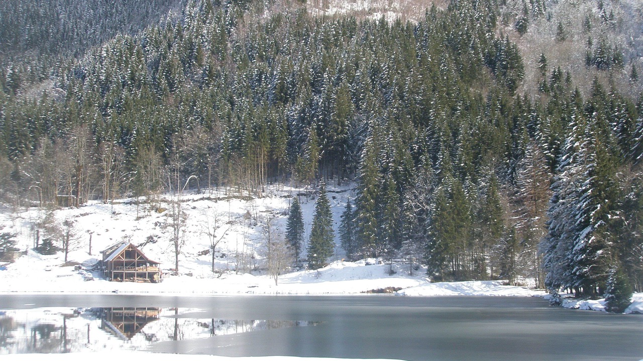 Photo of Others in La Ferriere