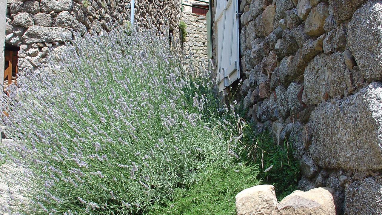 Photo of Outdoor in Duniere-sur-Eyrieux