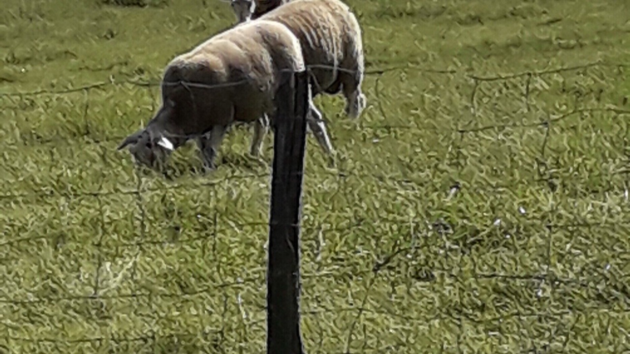 Photo of Others in Saint-Maurice-en-Gourgois