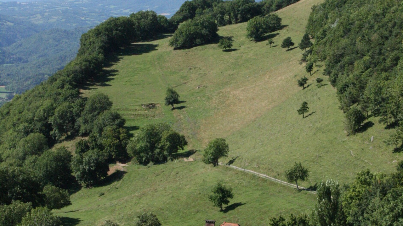 Photo of Outdoor in Vif