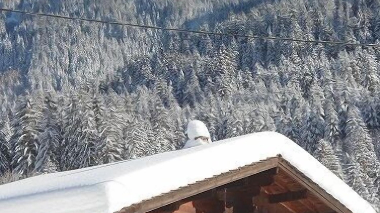 Photo of Outdoor in La Ferriere