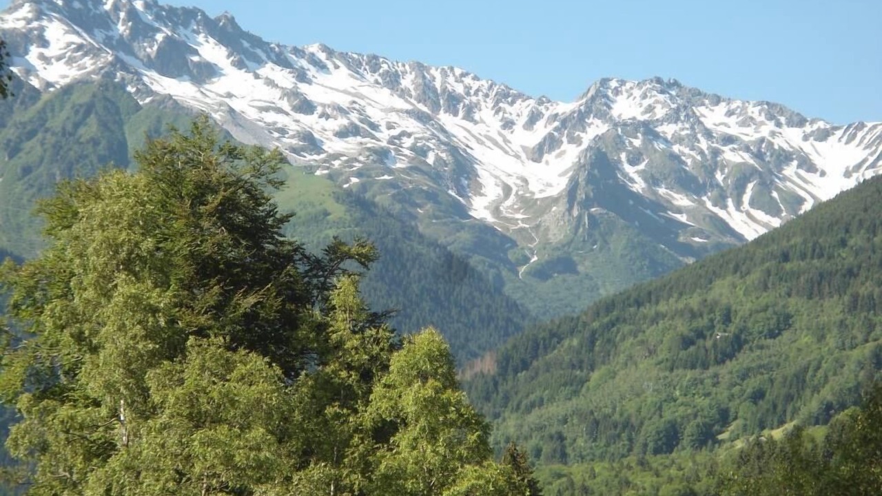 Photo of Others in La Ferriere