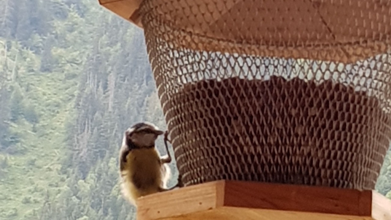 Photo of Outdoor in Oz-en-Oisans