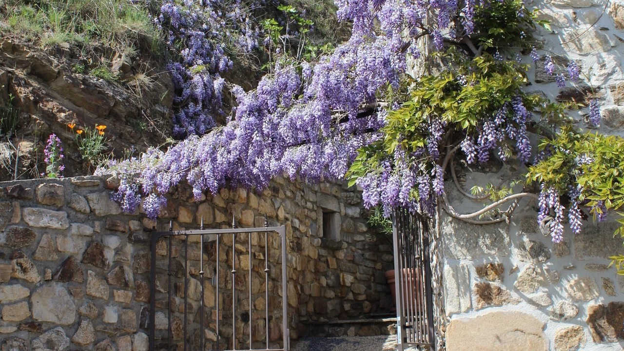 Photo of Outdoor in Chassiers