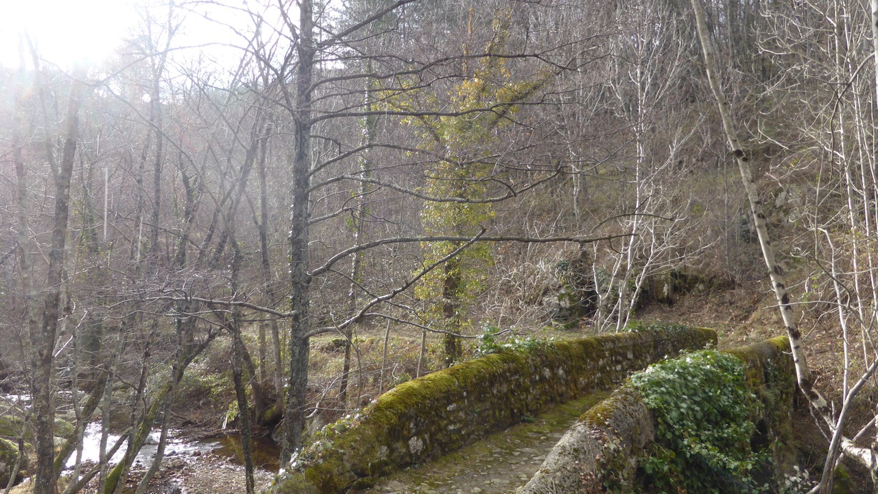 Photo of Outdoor in Chassiers