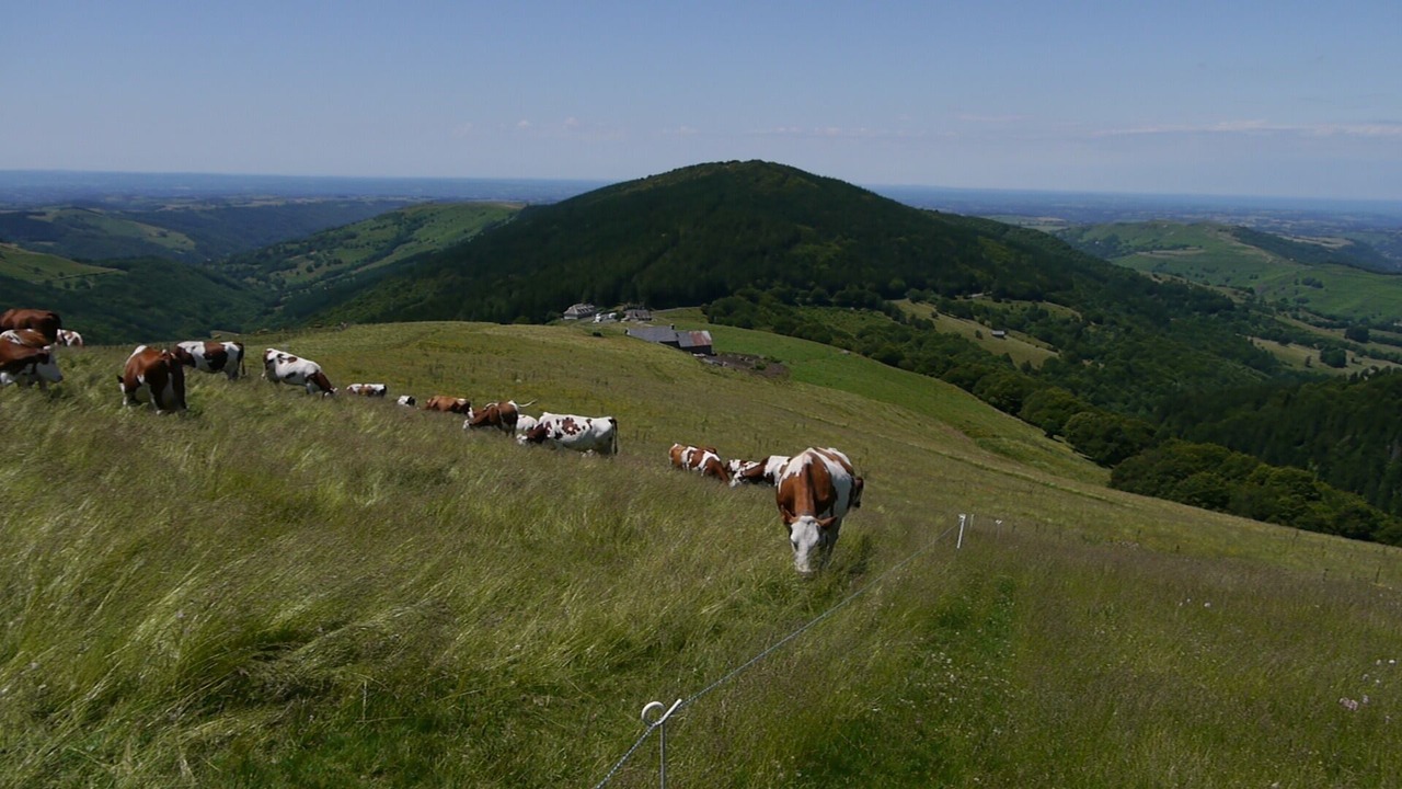 Photo of Outdoor in Vezac