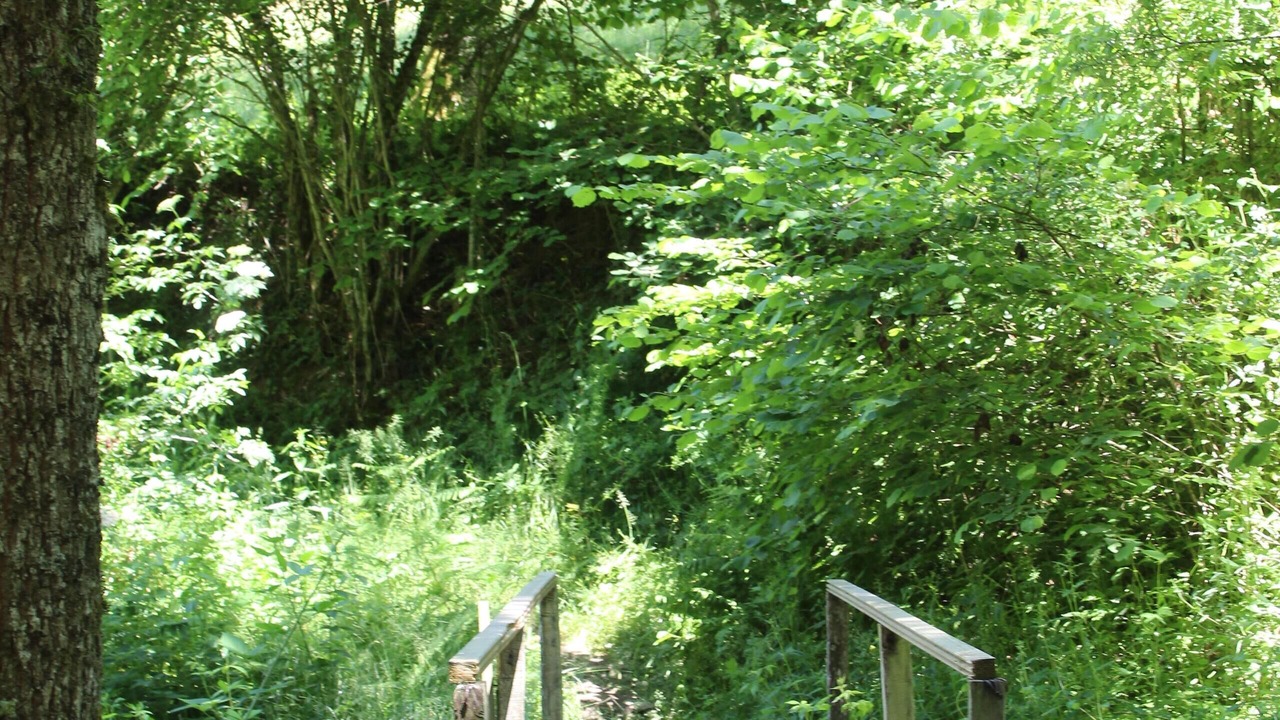 Photo of Outdoor in Saint-Gerons