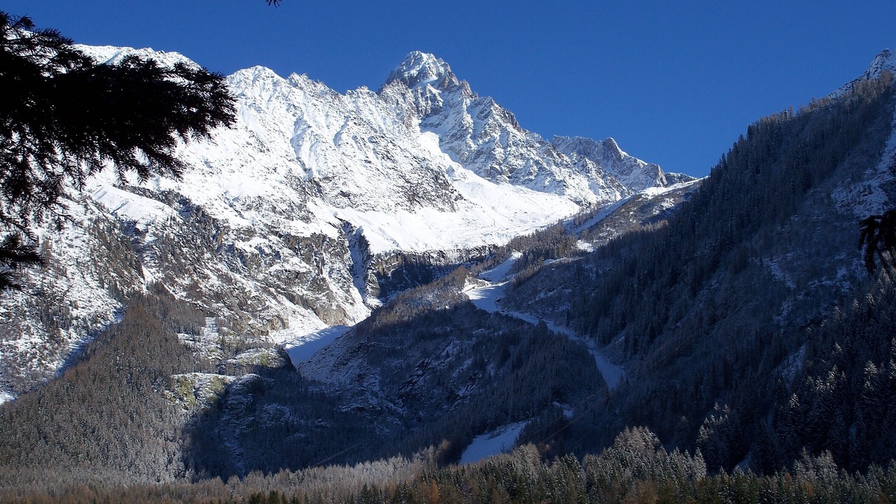 Photo of Others in Chamonix-Mont-Blanc
