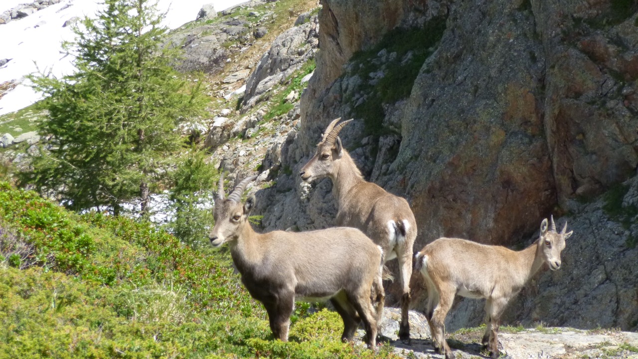 Photo of Outdoor in Chamonix-Mont-Blanc
