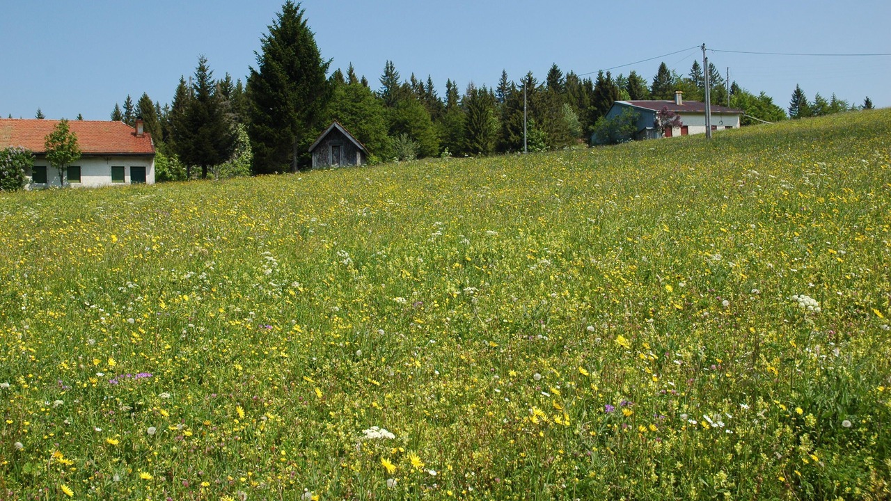 Photo of Outdoor in Lamoura